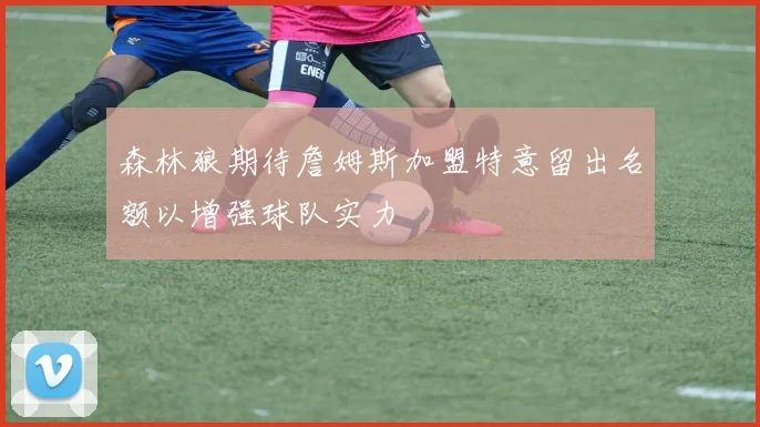 森林狼期待詹姆斯加盟特意留出名额以增强球队实力