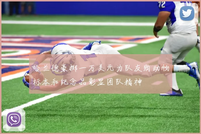 哈兰德豪掷一万美元为队友购动物标本和纪念品彰显团队精神