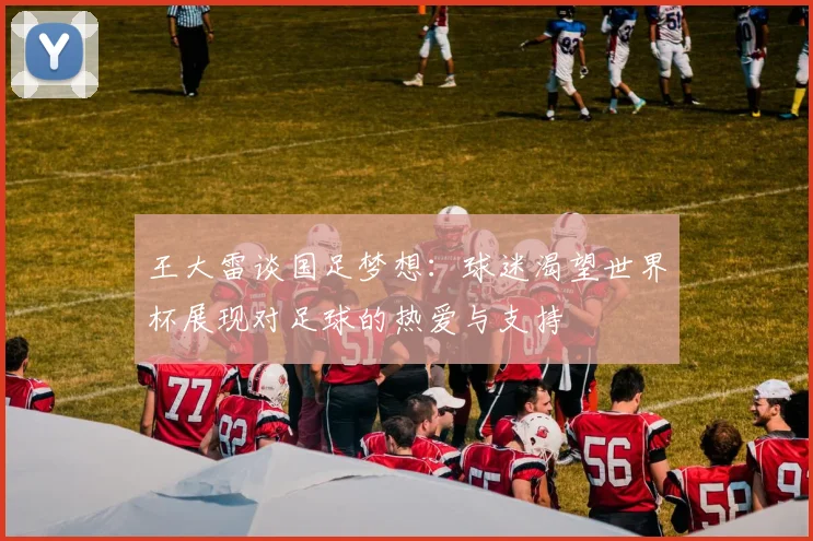 王大雷谈国足梦想：球迷渴望世界杯展现对足球的热爱与支持